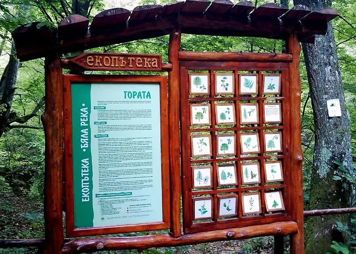 гостоприемница георги Kalofer