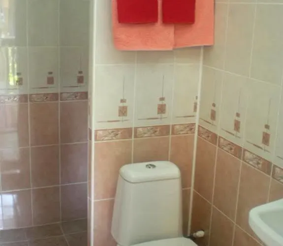 Hotel гостоприемница георги 3*